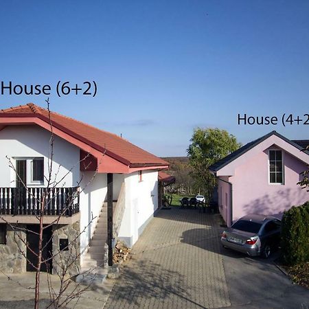 Holiday Home Janko Bogojina Exteriér fotografie